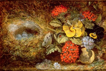 Blumen und Vogelnest mit Schmetterling und Pilz